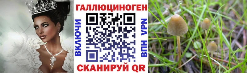 Галлюциногенные грибы прущие грибы Орехово-Зуево
